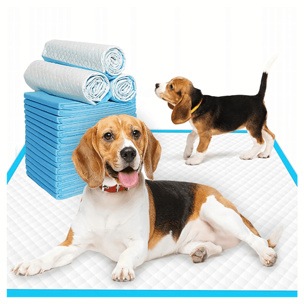 Higieniniai kilimėliai šunims mokytis šlapintis, XL, 40x60cm, 20 vnt., mėlyni