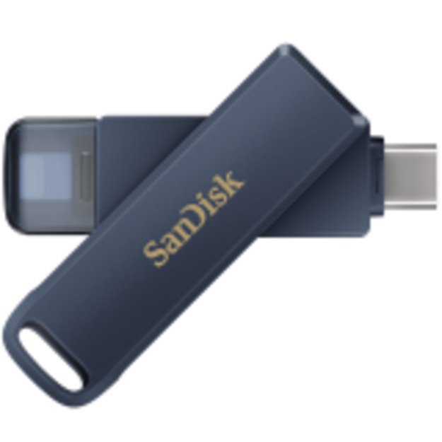 Memory Flash cards SANDISK SDIXD0N-064G-GN6NN