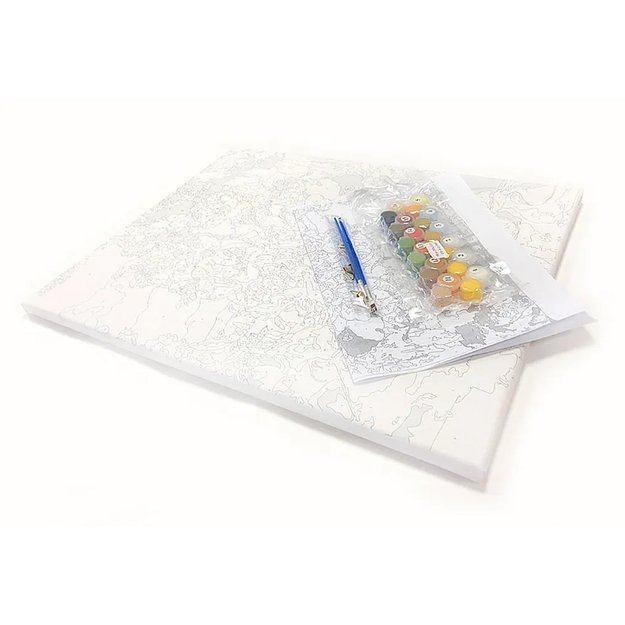 Tapyba skaičiais paveikslas su rėmeliu „pasidaryk pats“ rinkinys teptukai dažų drobė 40x50