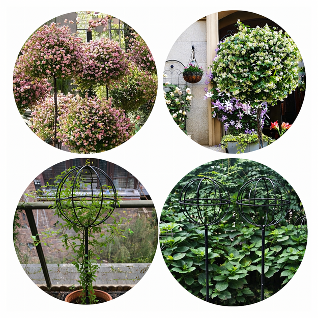 Dārza pergola, terases, metāla balsts vīteņrozēm, 50x10 cm, melns