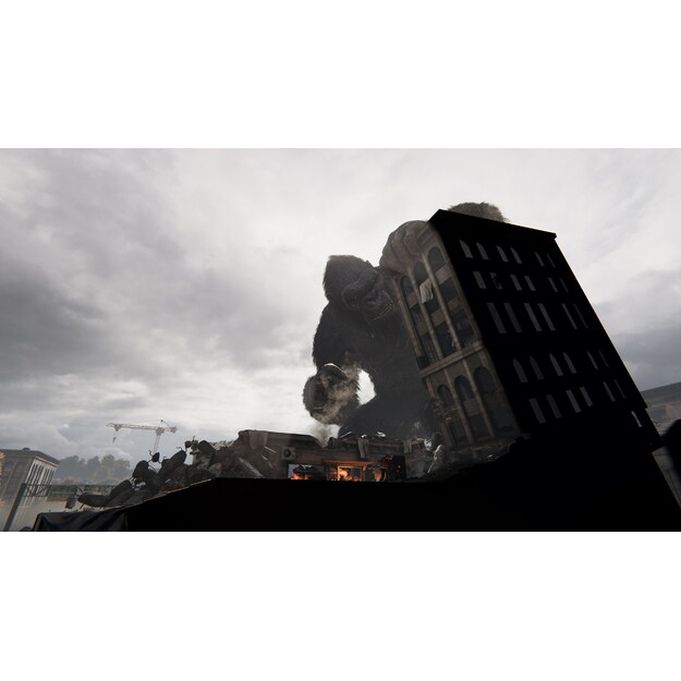 Kong Survivor Instinct  (Titans Edition)