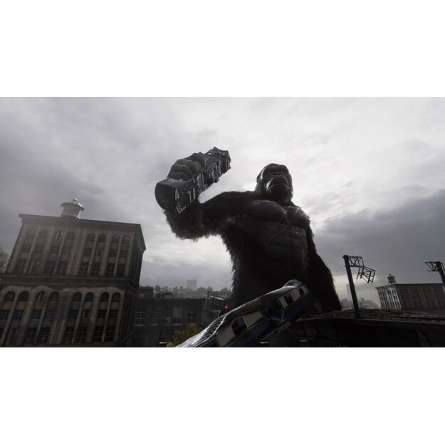 Kong Survivor Instinct  (Titans Edition)