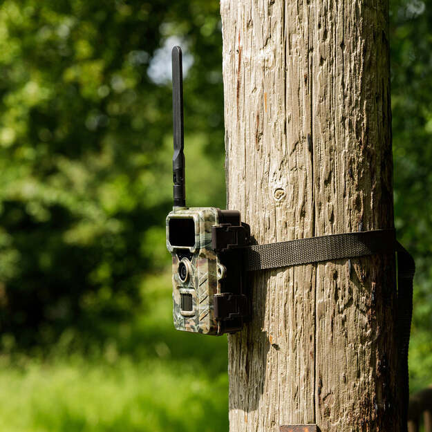 Rollei - Wildlife Camera 4G SimConnect