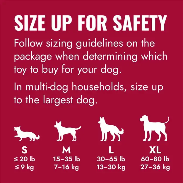 KONG - Goodie Bone - XL - 10x26,5x7cm