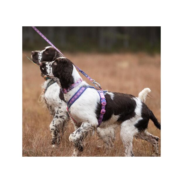 Non-Stop - Line Harness 5.0 - RP Purple/Pink - 5