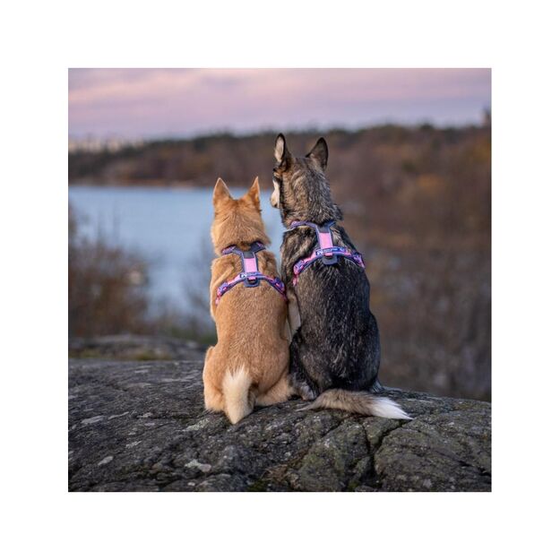 Non-Stop - Line Harness 5.0 - RP Purple/Pink - 5