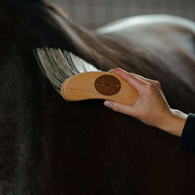 BORSTIQ - Banana Brush Poly