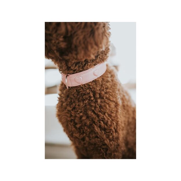 Hunter - H.HB Soho X Love - 47/S-M - Pink