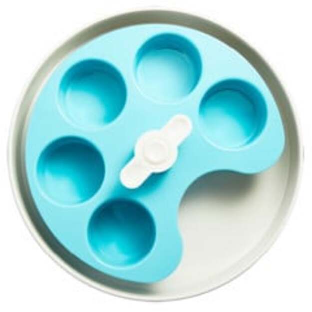 SPIN - Starter kit - Interactive Feeder Palette - Blue - Medium