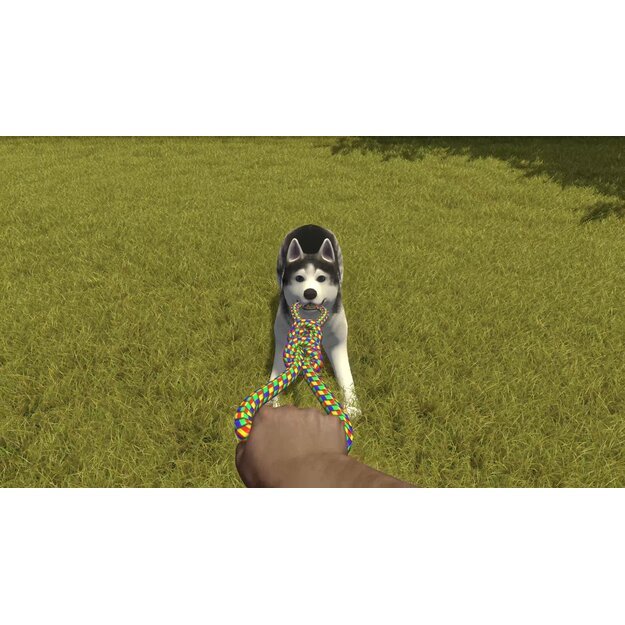 House Flipper - Pets Edition 6