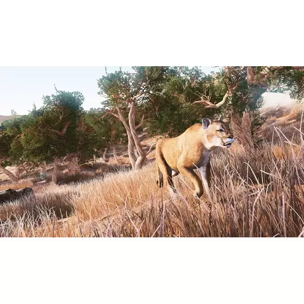 Hunting Simulator 2 (Code in a box) 6