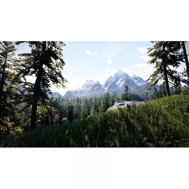 Hunting Simulator 2 (Code in a box) 8