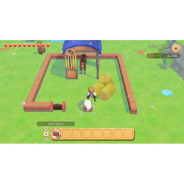 Story of Seasons: Pioneers of Olive Town 5