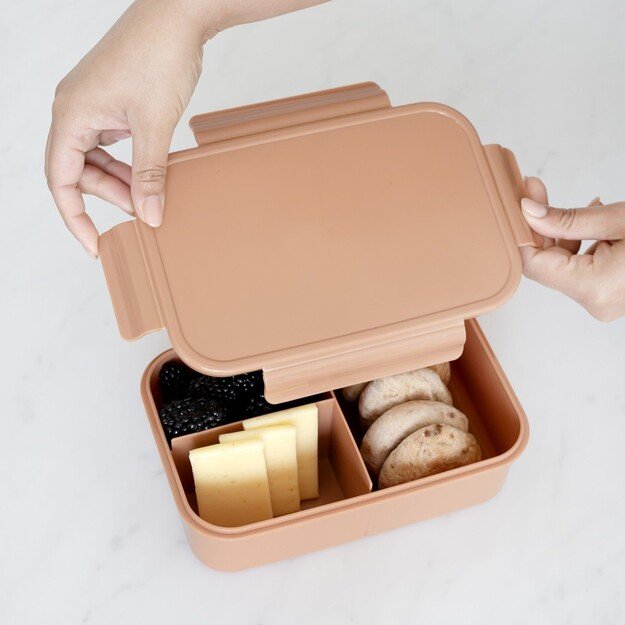 3 Sprouts - Lunch Box, Rust - (IBBSRT) 1
