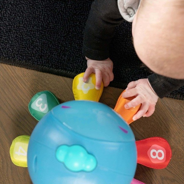 Baby Einstein - 4-in-1 Crawl & Chase Pal, Go Opus Go - (BE-16921) 2