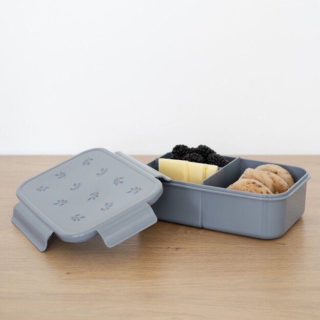 3 Sprouts - Lunch Box, Blueberry/Blue - (IBBBBL) 3