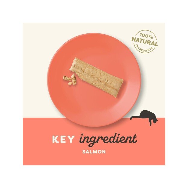 Applaws - Salmon Loin - 30g