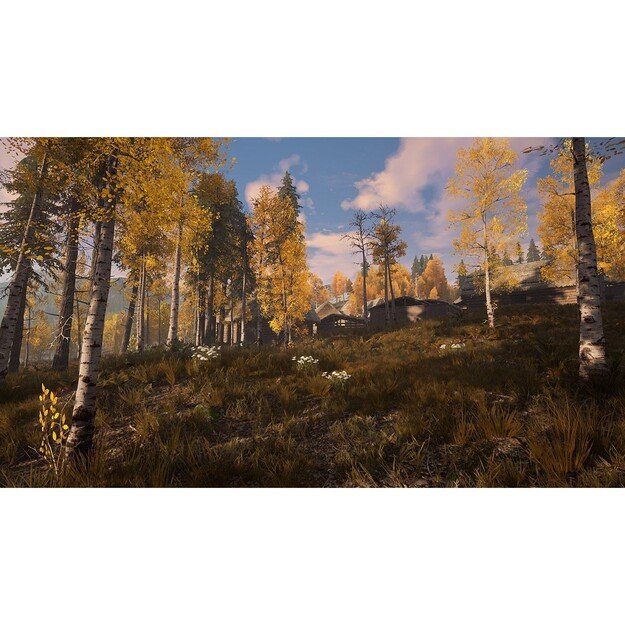 Medieval Dynasty

  - PlayStation 5