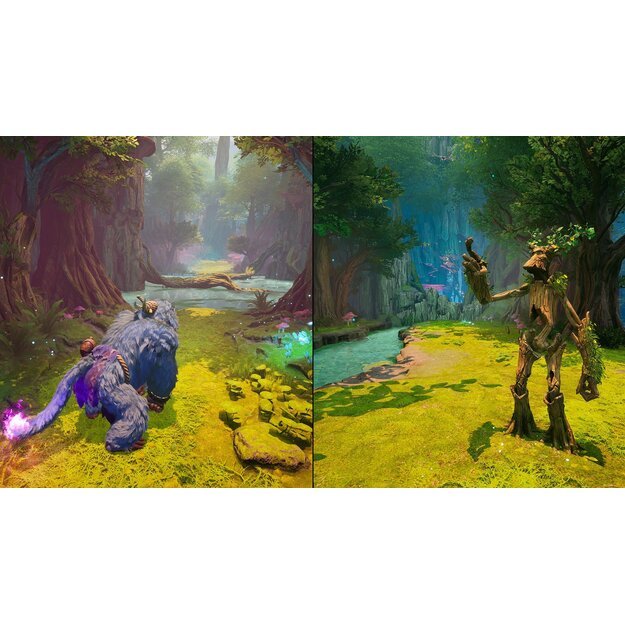 Split Fiction

  - Xbox Series X