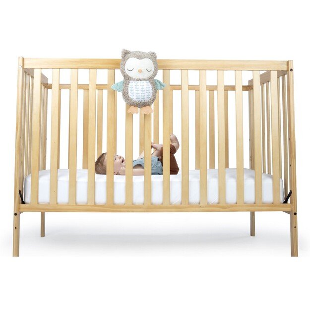 Ingenuity - Snuggle Sounds Nally Soothing Plush Toy (IN-12477)