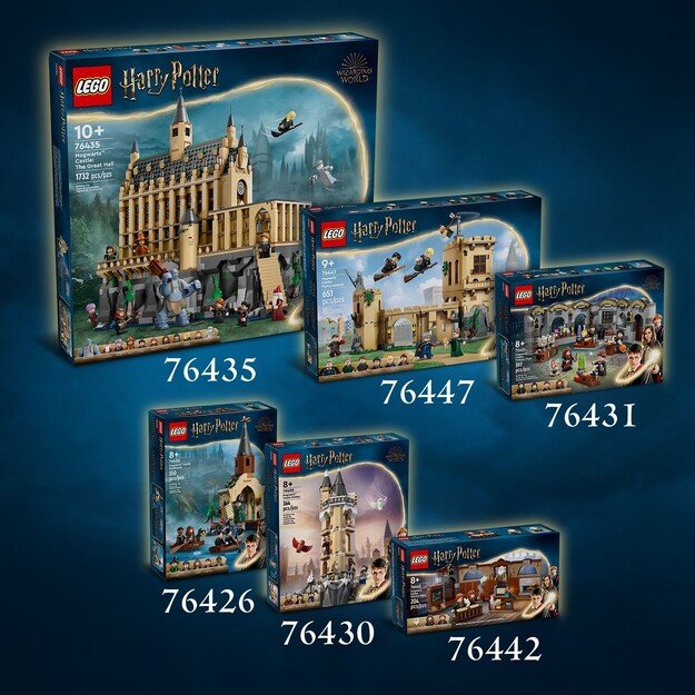 LEGO - Harry Potter TM - Hogwarts Castle: Duelling Club (76441)