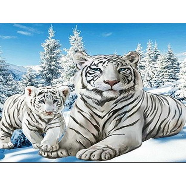 Diamond Painting Diamond Embroidery Mosaic 5D Set 3