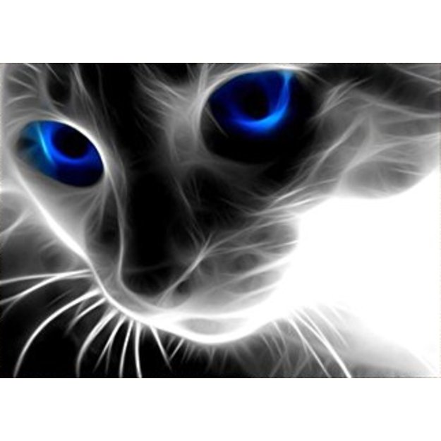 Deimantinis dažymas deimantiniais siuvinėjimo mozaikos rinkiniais 5D 87