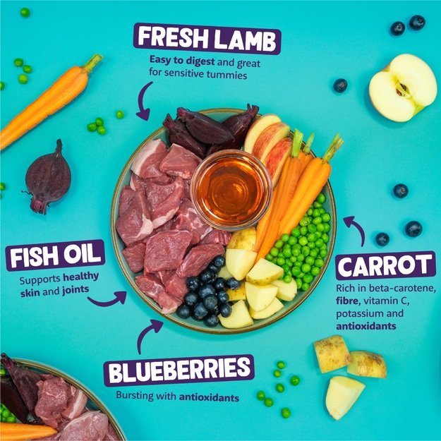 Edgard Cooper - Dogfood  - Fresh Grass-Fed Lamb 12kg 1