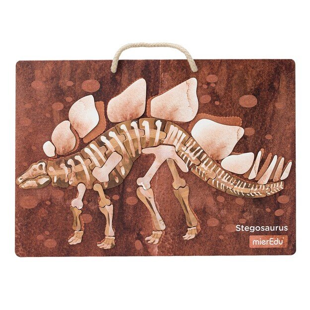 mierEdu - Magnetic Learning Box - All About Dinosaurs - (ME098)