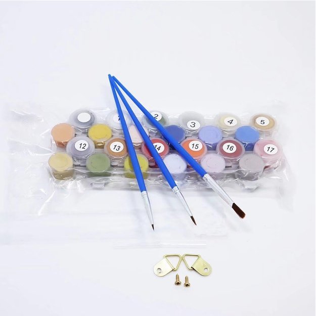 Tapyba pagal numerius tapyba su rėmeliu pasidaryk pats šepečių rinkinys dažai drobė 30x40