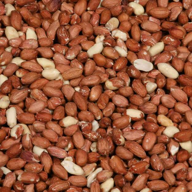 Hobby First - Shelled peanuts - 5kg