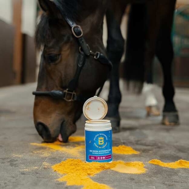 Biofarmab - BioRosa Rose Hip Powder - 1500g