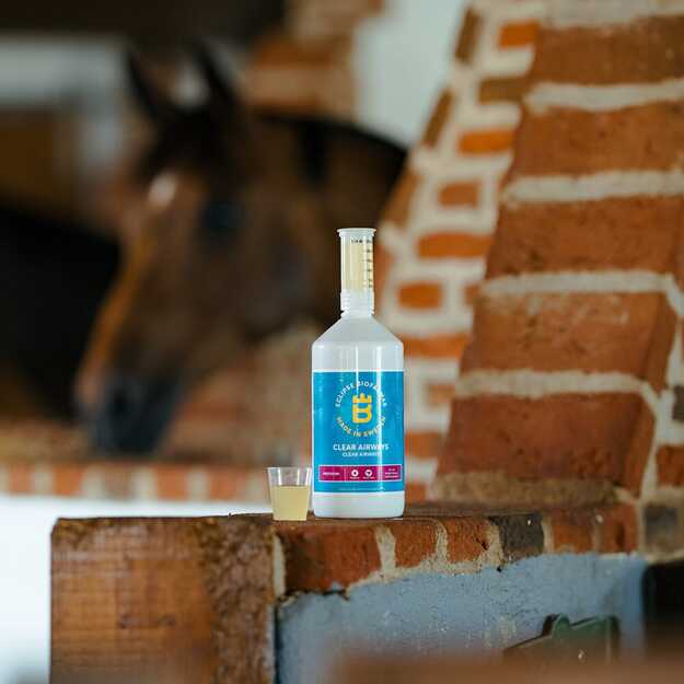 Biofarmab - Clear Airways - 1L