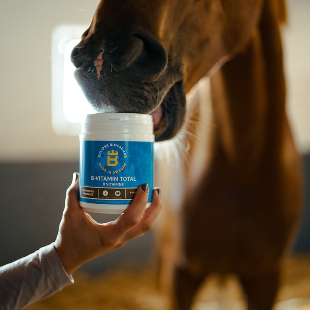 Biofarmab - B-Vitamin Total - 450g