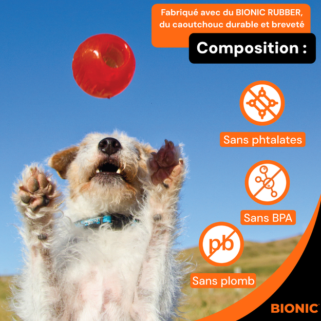 Bionic - BIONIC Ball - Orange - Small 5.8cm