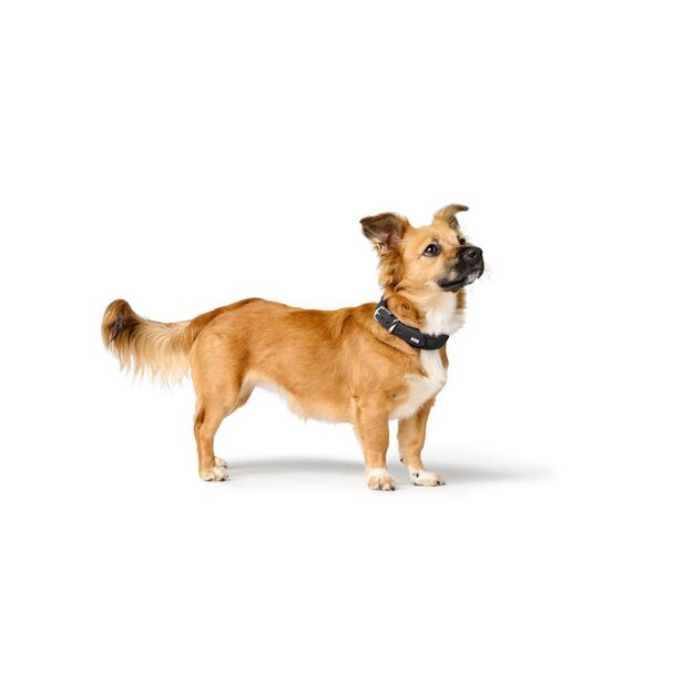 Hunter - H.HB Soho X Love - 47/S-M - Black