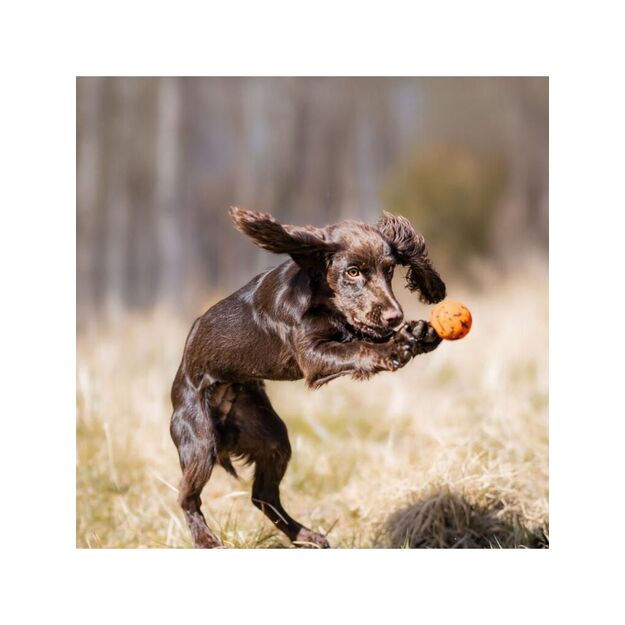 Non-Stop - Ball - Orange/black - 6 cm