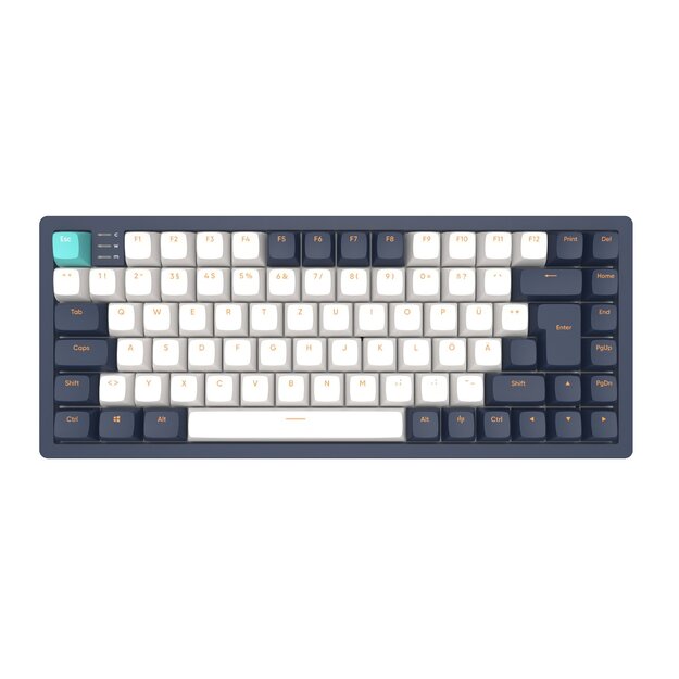 Dark Project - 83 Navy Blue/Ivory - RGB