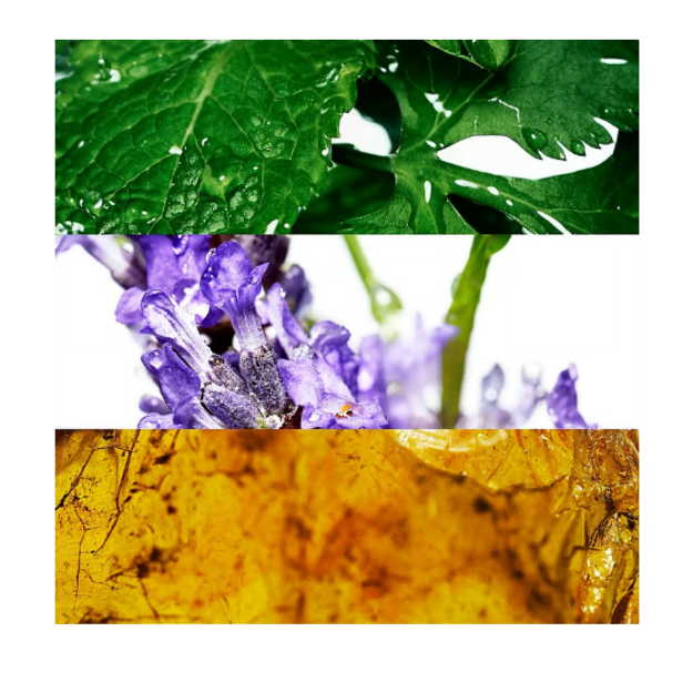 Davidoff - Cool Water Man All Over Body Spray - 150 ml