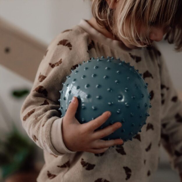 Find that hippo - Sensory Balls - Metallic Blue & Khaki (53100401)