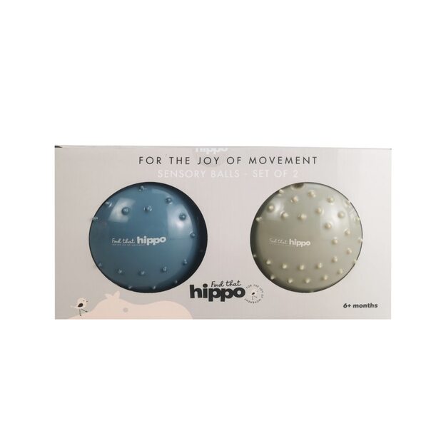 Find that hippo - Sensory Balls - Metallic Blue & Khaki (53100401)
