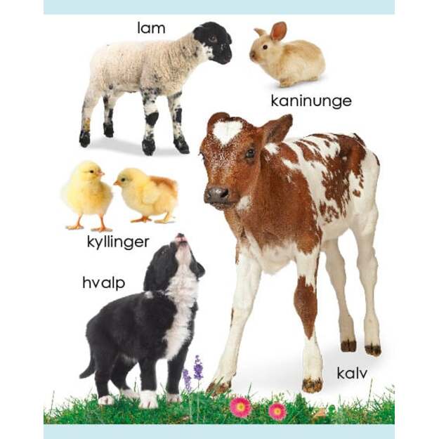 Kigge-pege-snakke: Bondegård