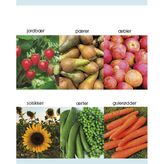 Kigge-pege-snakke: Bondegård