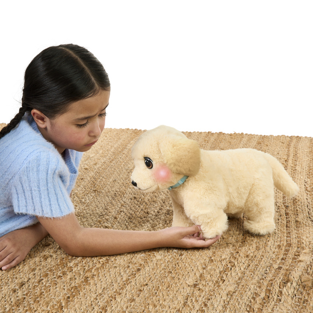 Little Live Pets - Ouchies (26679)