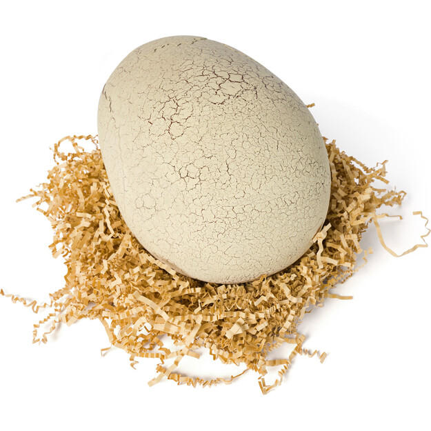 Primal Hatch - Interactive Hatching Dino (6072462)