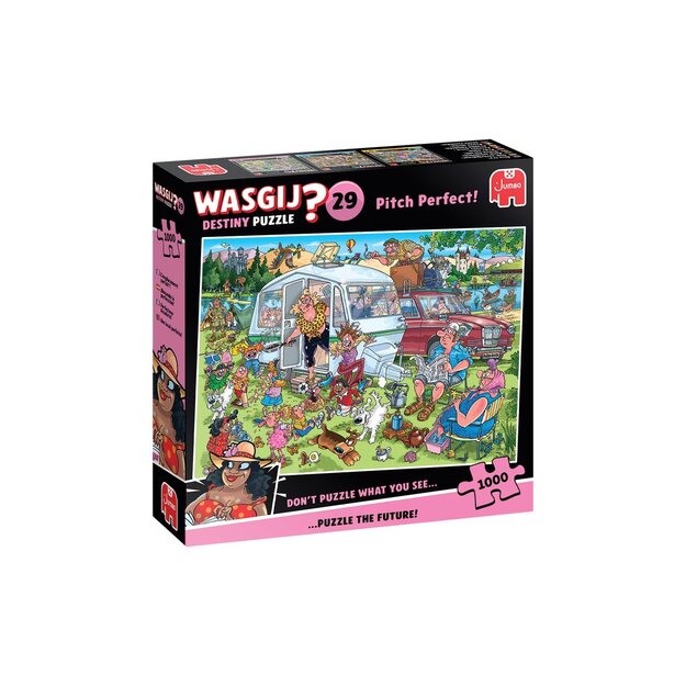 Wasgij Destiny 29 - Pitch Perfect! (1000 pieces)
