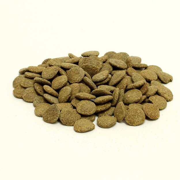 JBL - Pronovo Pleco Wafer Xl 5,5L - (152.0456)
