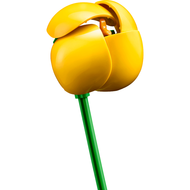 LEGO - Botanicals - Petite Sunny Bouquet (10347) 4