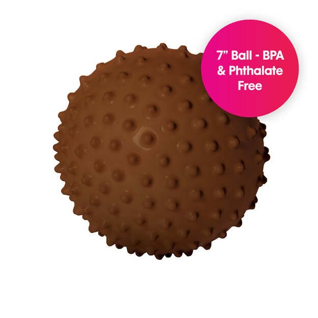 Edushape - Sensory Ball - 18 Cm - Brown (E705176br) 6