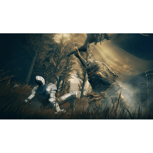 ELDEN RING Shadow of the Erdtree (Collector Edition)
      
        - Xbox Series X